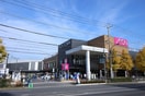 イオンタウン稲城長沼(スーパー)まで745m メゾンやまさき