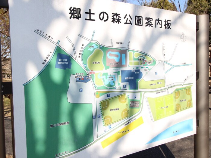 郷土の森公園(公園)まで3000m 金子ハイツ