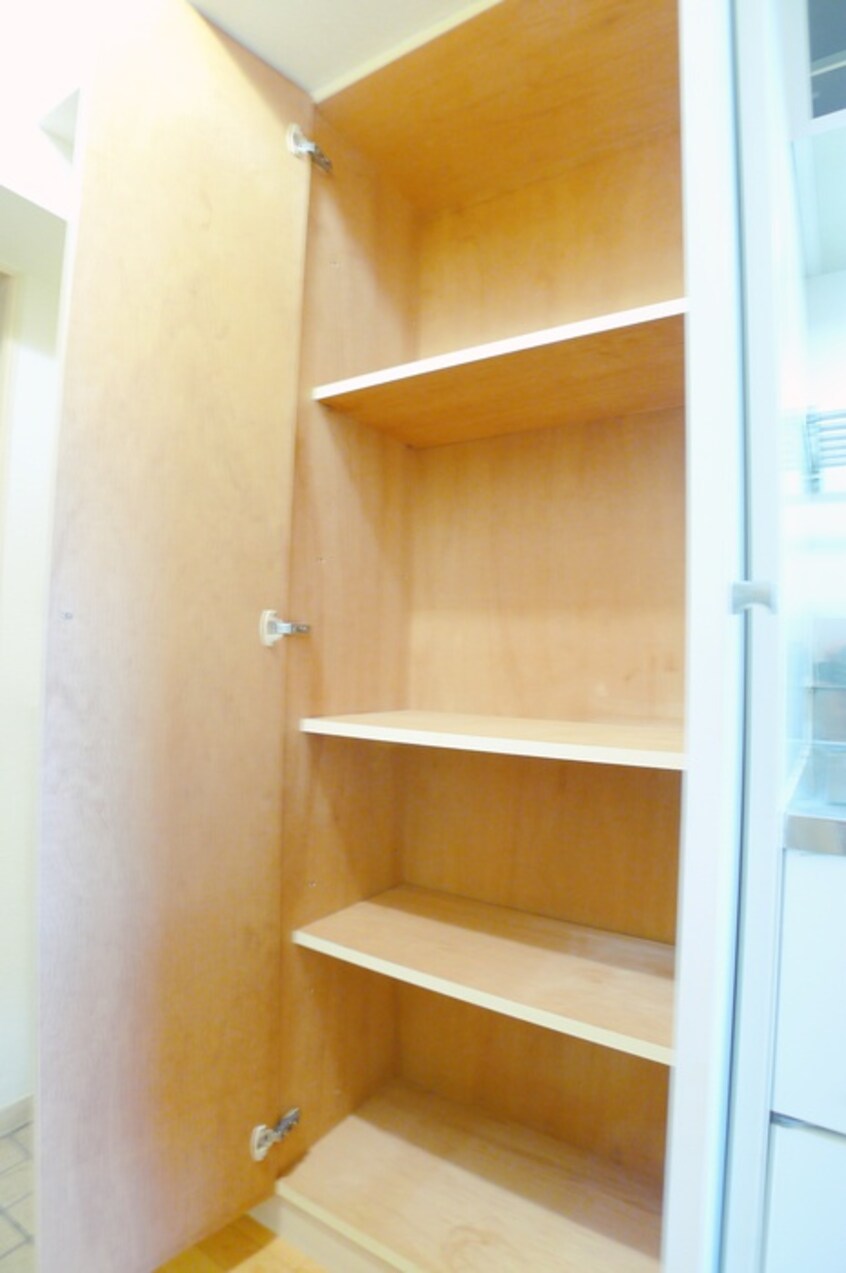 収納 ロザ－ル松戸(313)