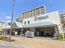 ピーコックストア花小金井店(スーパー)まで950m コースサイドテラス