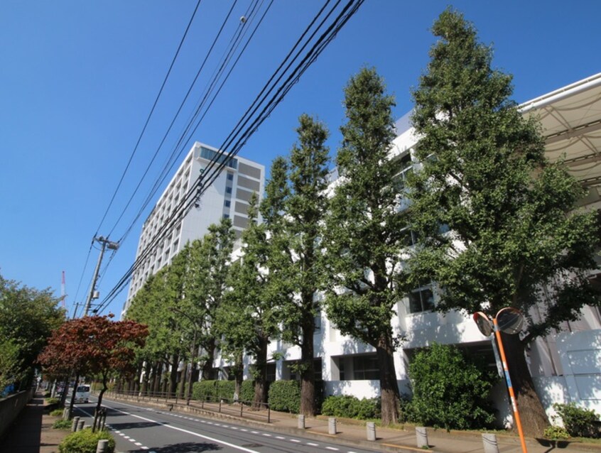 亜細亜大学(大学/短大/専門学校)まで1200m 五宿ハイツ