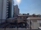 室内からの展望 Ｓｕｎ　Ｓｗｅｅｔ