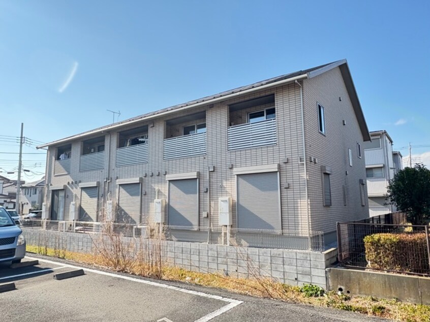 その他 クレオール