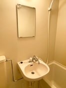 洗面 桜新町アムフラット(103)