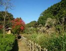 鎌倉中央公園(公園)まで1000m 沼井テラス　西１