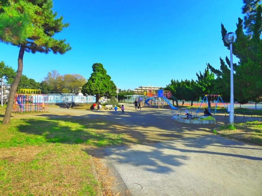 行徳中央公園(公園)まで382m ルネ新行徳（７２１）