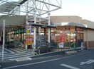 マルフジ南田園店(スーパー)まで1183m 志村貸家