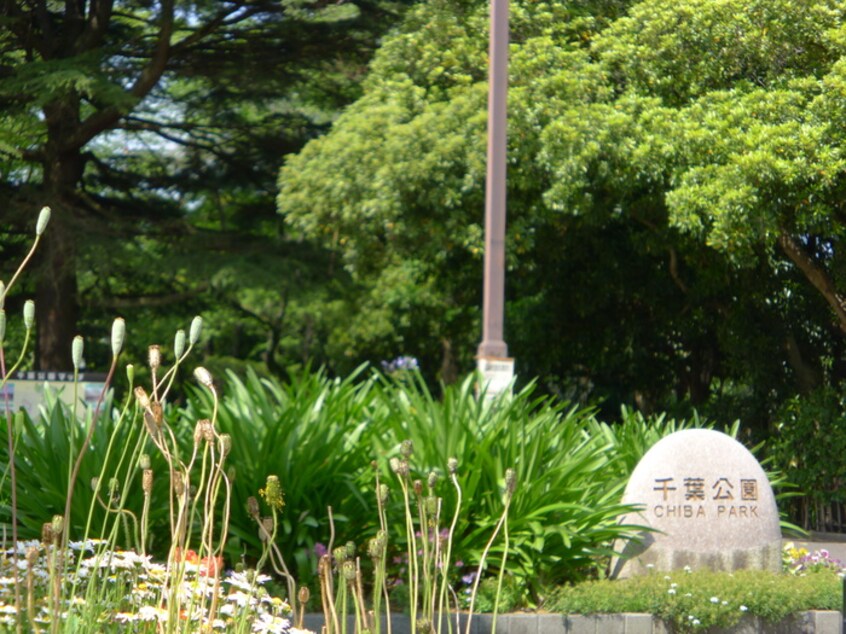 千葉公園(公園)まで316m ハイシティ弁天