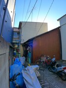 建物設備 松の木