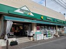 マルエツプチ 茗荷谷店(スーパー)まで280m サンモールエイト小石川