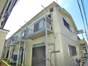 ドウェル白樺