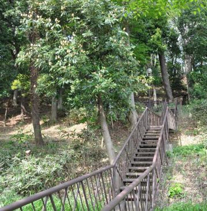 上野毛自然公園(公園)まで549m ハイツ丸山