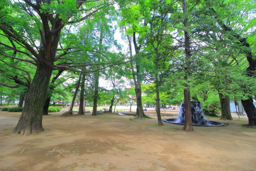 板橋区平和公園(公園)まで325m ヤマトホームズ東新