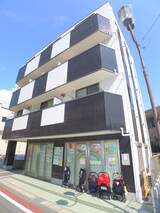 Ｓｅａ　Ｓｐｒｉｎｇ　1ｓｔ