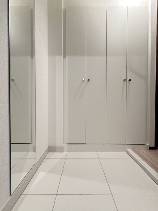 玄関 ｱｲﾙﾌﾟﾚﾐｱﾑ押上ﾉﾙﾄﾞ(505)