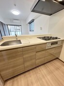 キッチン ｱｲﾙﾌﾟﾚﾐｱﾑ押上ﾉﾙﾄﾞ(505)