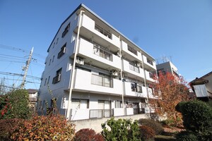パ－シモン