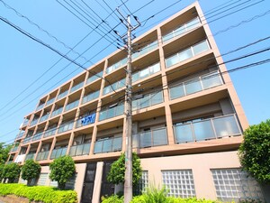 ウィスタリアオーク