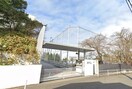 国士舘大学 町田キャンパス(大学/短大/専門学校)まで1521m グランデュール金井