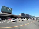 カインズ 浦和美園店(電気量販店/ホームセンター)まで550m ミルト　ヴィレッジ　Ⅰ