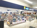 ハックドラッグ横浜もえぎ野店(ドラッグストア)まで261m ラピスもえぎ野