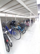駐輪場 ソフィアマンション