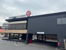プレミアムカルビ　港北日吉店(その他飲食（ファミレスなど）)まで300m ソフィアマンション