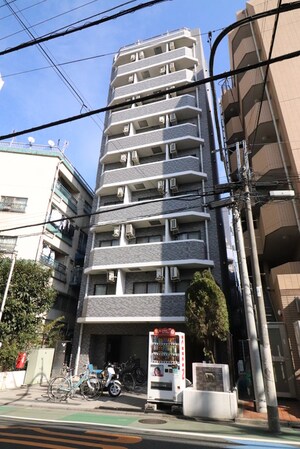 ﾛｲﾔﾙｱﾒﾆﾃｨｰ白金(702)