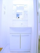 洗面 プレシャス本中山