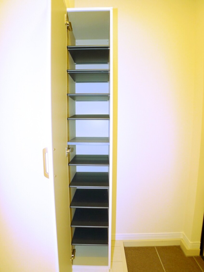 靴箱 プレシャス本中山