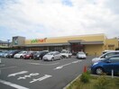 ヨークマート秦野緑町店(スーパー)まで722m Flat