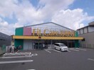 フィットケアデポ片倉店(ドラッグストア)まで787m シャトール田口片倉