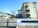 千間台小学校(小学校)まで370m 千間台グリ－ンハイツ