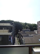 室内からの展望 クリア砧公園