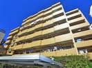 ﾗｲｵﾝｽﾞﾏﾝｼｮﾝ堀切菖蒲園(215)の外観