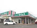 ドラッグセイムス日高こま川店(ドラッグストア)まで800m リリ－ヴィレッジＷＥＳＴ