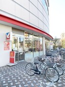 マクドナルド(ファストフード)まで172m CREVISTA四ツ木