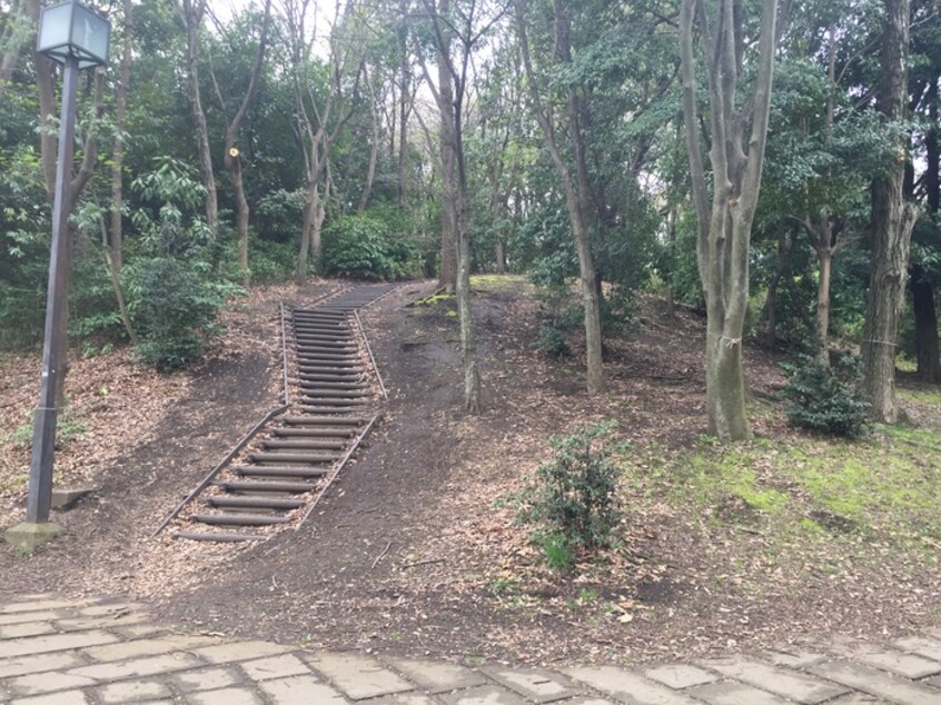 葛ケ谷公園(郵便局)まで505m ム－ンシャイニ－壱番館