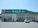 ドラッグセイムス入間仏子店(ドラッグストア)まで786m サンパナハイツＥ