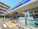 ローソン(コンビニ)まで30m リバシィー浦和常盤