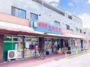 ユネスコ和光(スーパー)まで325m グリ－ンヴィレッヂ