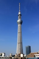 東京スカイツリー(ショッピングセンター/アウトレットモール)まで1200m 浅和ハイツ