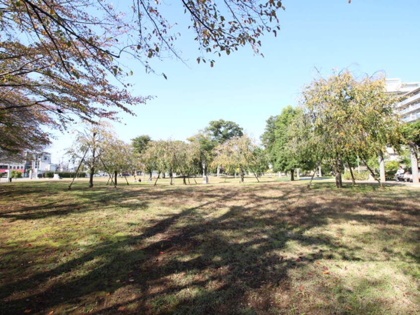 福岡中央公園(公園)まで490m リブリ・上福岡Ⅱ