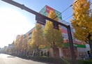 サミットストア　善福寺店(スーパー)まで469m ペアパレス西荻窪