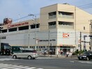 オーケー長津田店(スーパー)まで498m フェアネスハイム