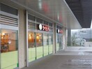 サイゼリヤ(その他飲食（ファミレスなど）)まで654m フェアネスハイム