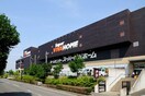 ビバホーム(電気量販店/ホームセンター)まで1145m フェアネスハイム