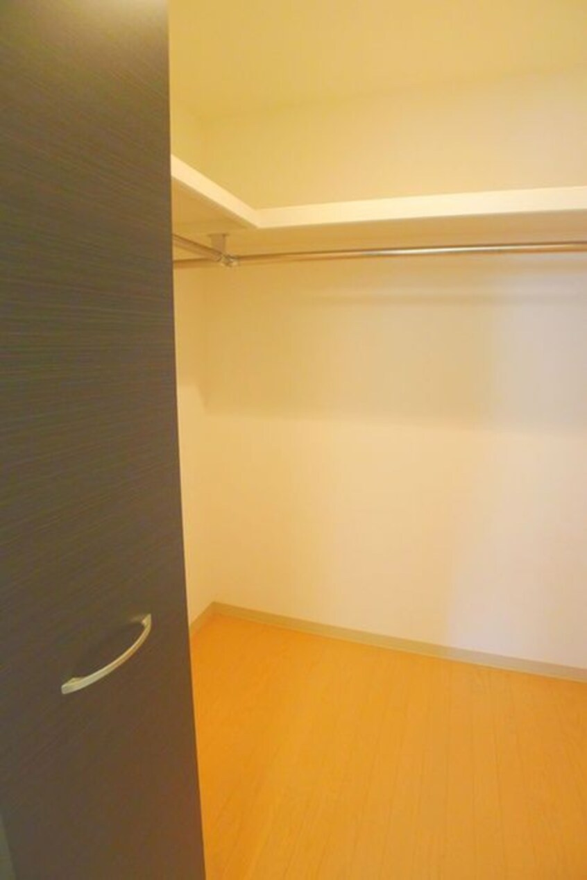 収納 Ｌｉｌｌｙ　Ｌａ　Ａｌｄｉｓ