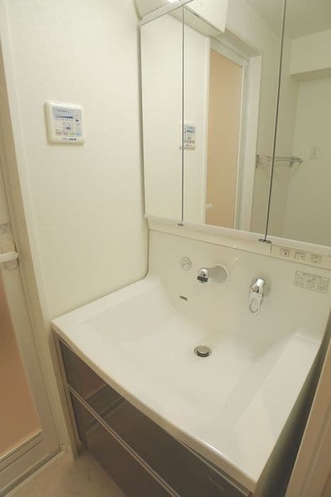 洗面 Ｌｉｌｌｙ　Ｌａ　Ａｌｄｉｓ