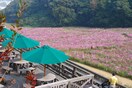 くりはま花の国(公園)まで588m 北村荘